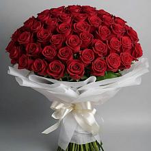 Букет 101 Красная роза Блэк Мэджик #REPLACE_PRED# Полбино