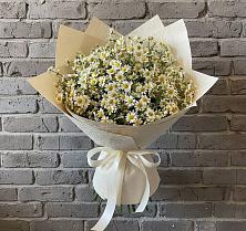 Букет цветов из:  Ромашки в Полбино