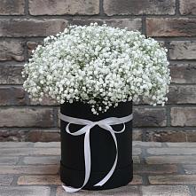 Цветочная композиция из Гипсофила в шляпной коробке в Полбино