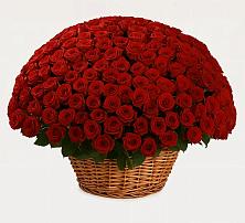 Премиум букет из: Розы в Полбино