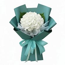 Букет цветов из:  Гортензия #REPLACE_PRED# Полбино